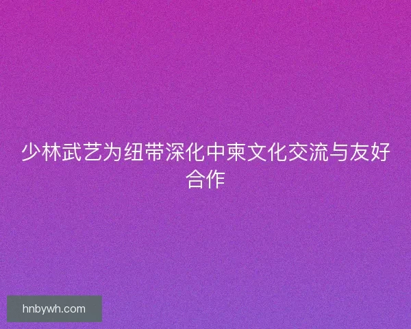 少林武艺为纽带深化中柬文化交流与友好合作