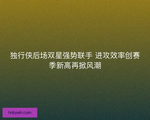独行侠后场双星强势联手 进攻效率创赛季新高再掀风潮